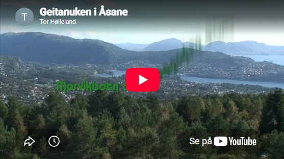 Turer i naerområdet