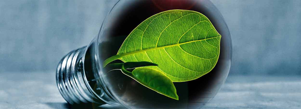 Rent miljø. Illustrasjon.